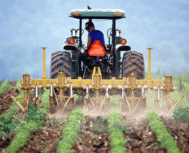 فواید گچ برای خاک