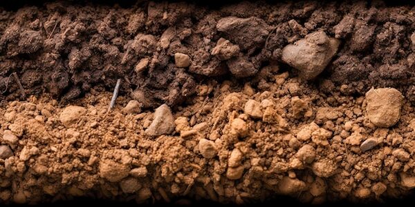 تاثیر گچ بر بهبود ساختار خاک