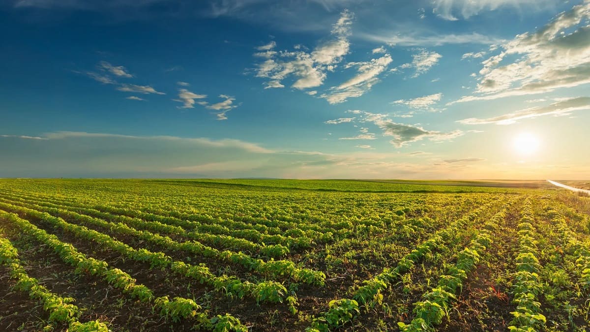 بگذارید مرحله اول محکم لنگر بیاندازد! بگذارید مرحله اول محکم لنگر بیاندازد!