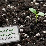 نقش گچ در مدیریت فلزات سنگین و آلومینیوم در خاک — راهنمای فنی برای خاک‌های اسیدی