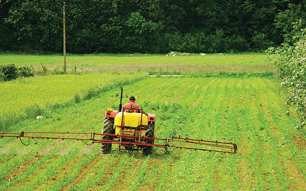 اثرات گچ کشاورزی بر خاک