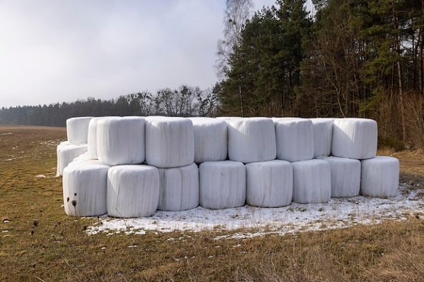 gypsum packing