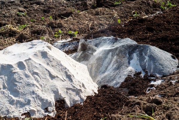 gypsum ft compost