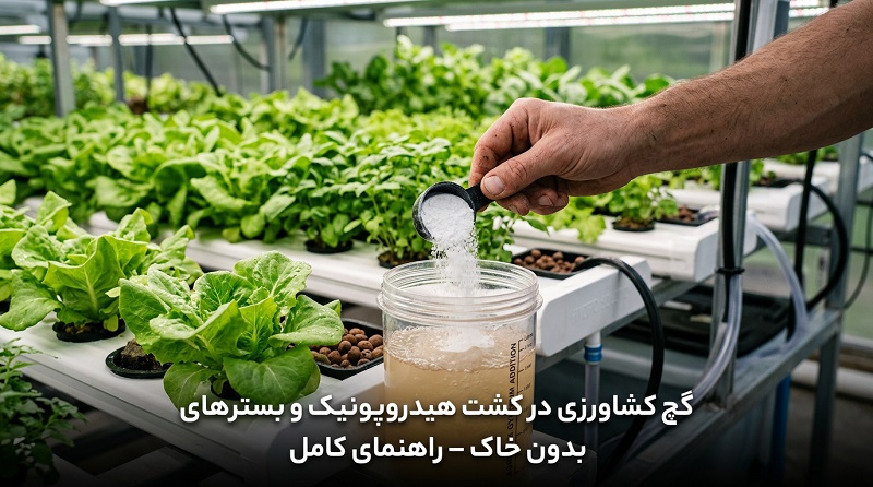 گچ کشاورزی در کشت هیدروپونیک و بسترهای بدون خاک — راهنمای کامل