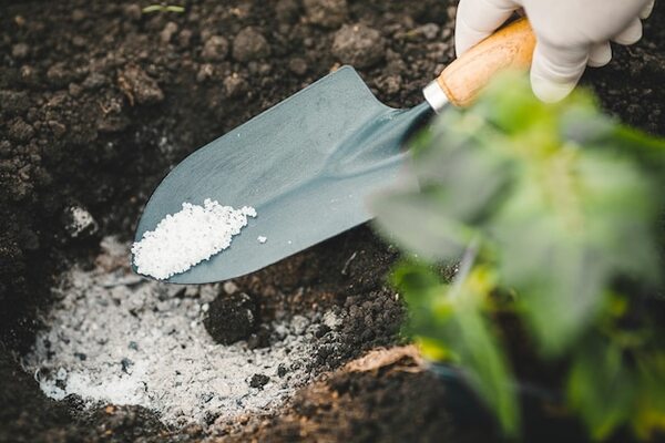 applying agricultural gypsum