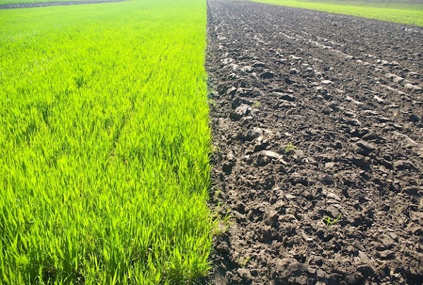 farm