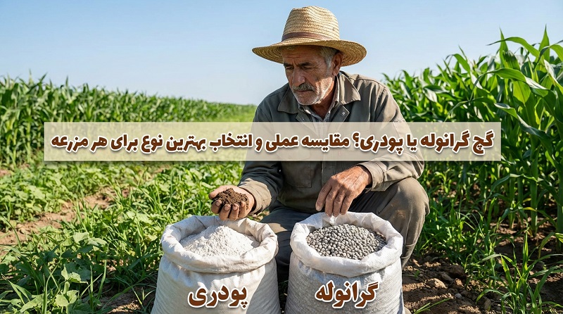 گچ گرانوله یا پودری؟ مقایسه عملی و انتخاب بهترین نوع برای هر مزرعه