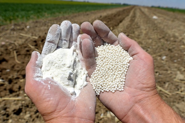 powdervs granule 2