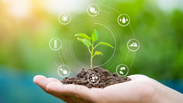 Sustainable Agriculture