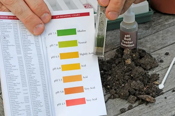 soil PH