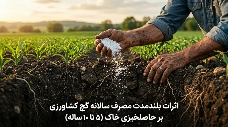 اثرات بلندمدت مصرف سالانه گچ کشاورزی بر حاصلخیزی خاک (۵ تا ۱۰ ساله)