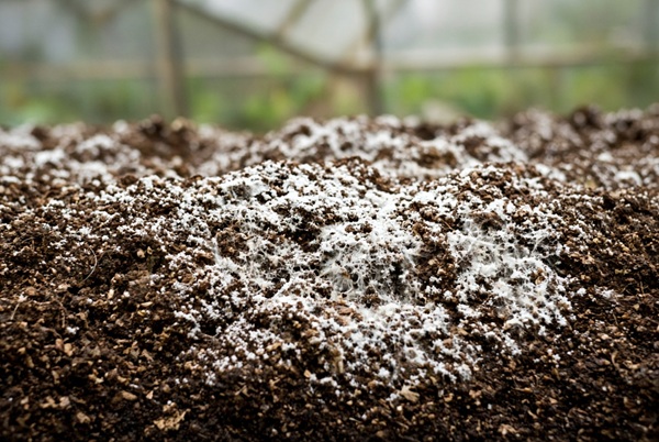 humidity control