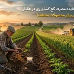 محاسبه هزینه-فایده مصرف گچ کشاورزی در هکتار (جدول اقتصادی برای محصولات مختلف)
