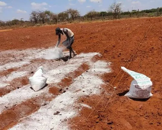 gypsum for soil اهمیت گچ کشاورزی در بهبود ساختار خاک
